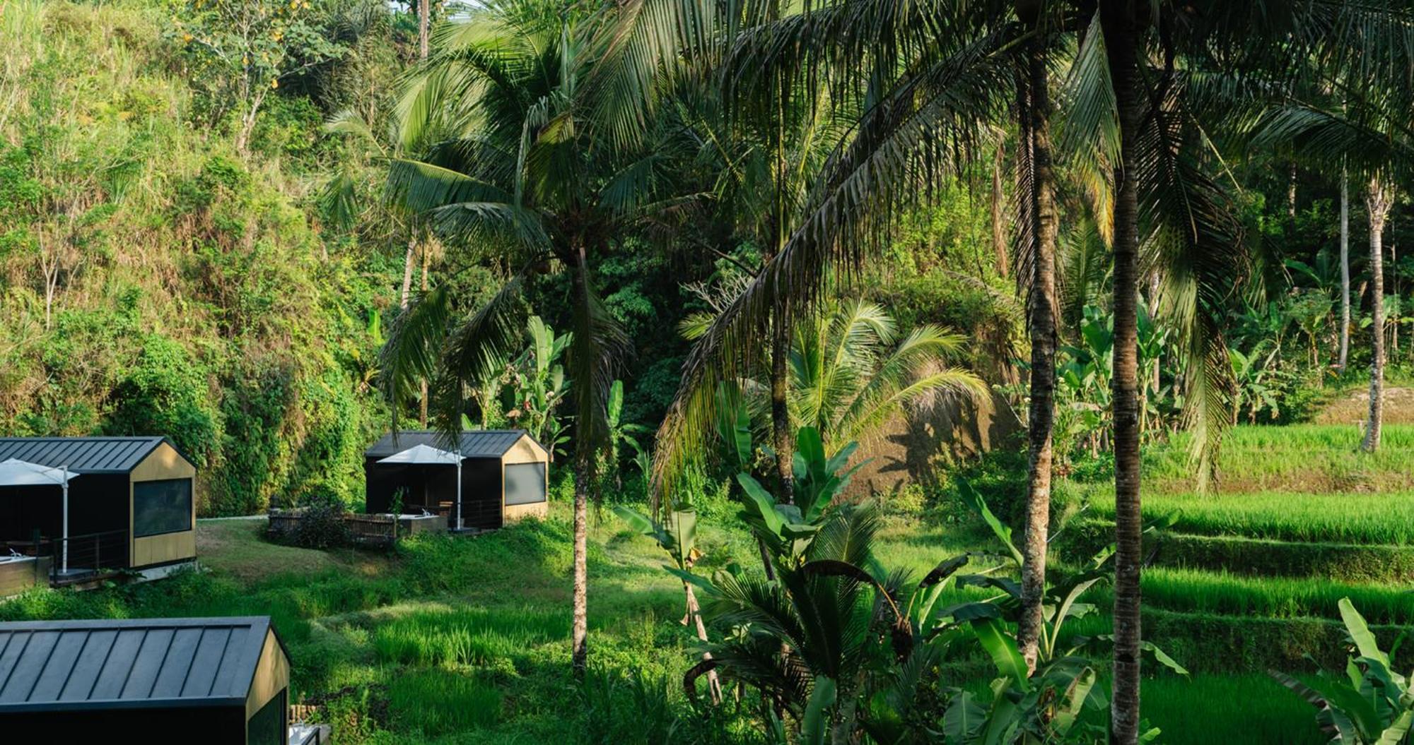 Bobocabin Ubud, Bali 외부 사진